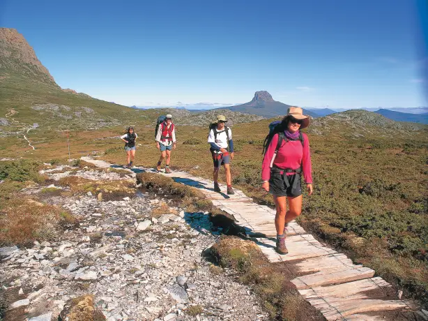 aus-tas-Cradle-Mountain-Huts-Walk-Group-Track-Walking