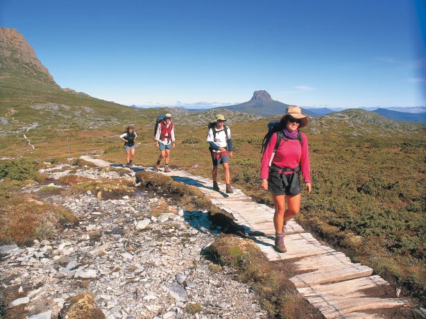 aus-tas-Cradle-Mountain-Huts-Walk-Group-Track-Walking