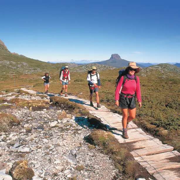 aus-tas-Cradle-Mountain-Huts-Walk-Group-Track-Walking
