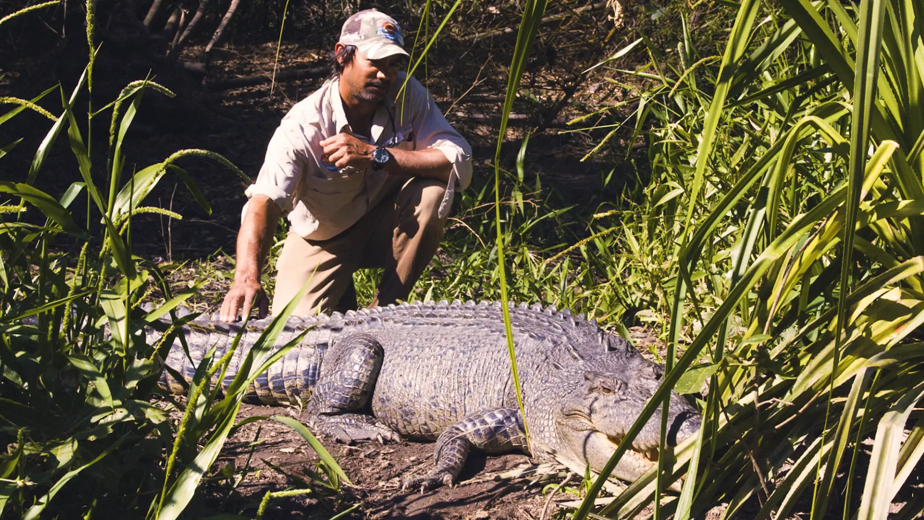 Au outback floatplane wildlife crocodile friends see and do adventurous