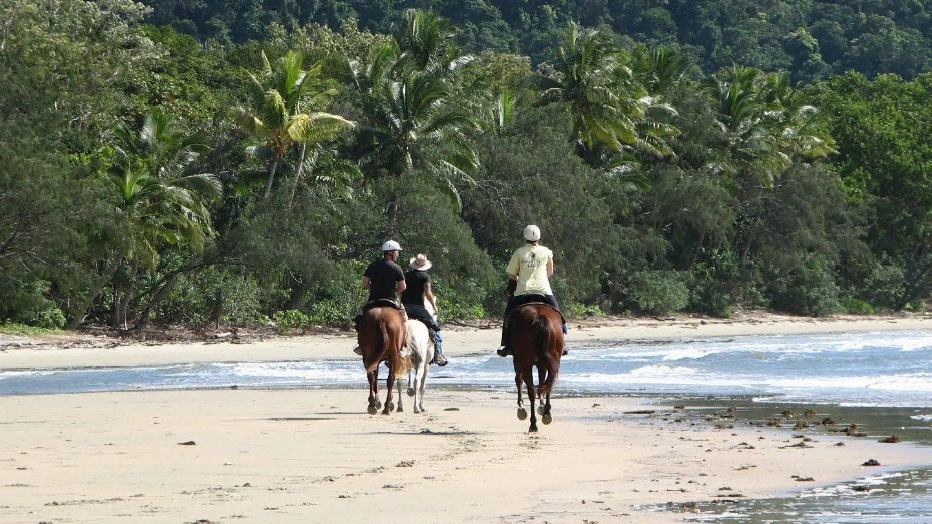 australien qeensland cape tribulation Ausritt Pferde Reiten am strand