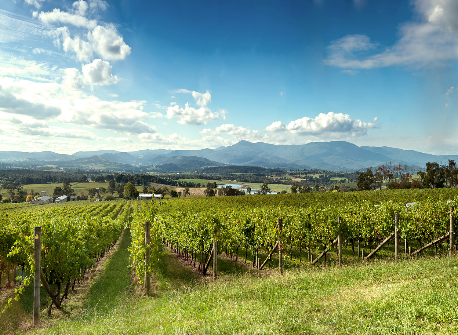 Au yarra valley winery view nature friends see and do easy going