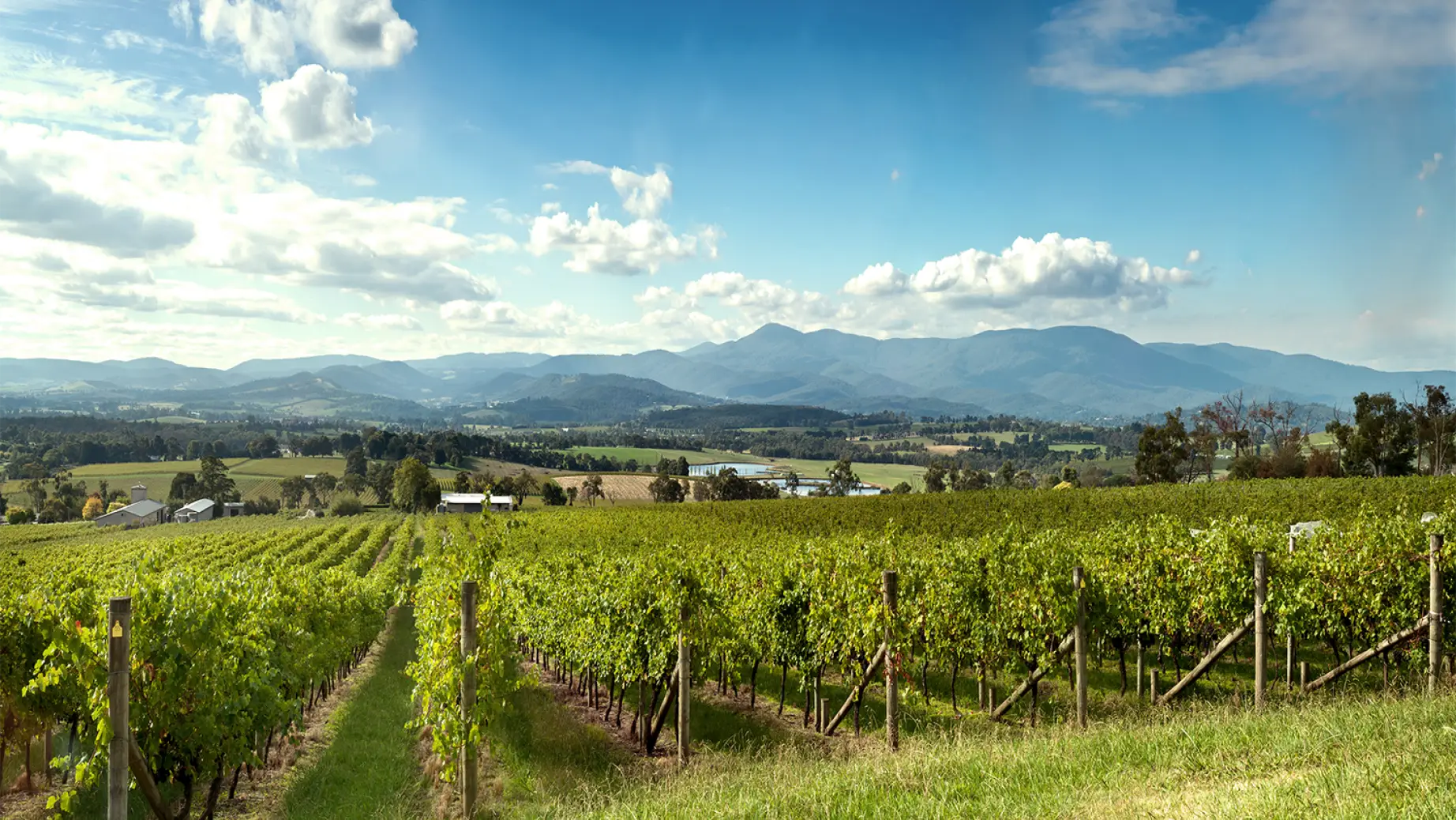 Au yarra valley winery view nature friends see and do easy going