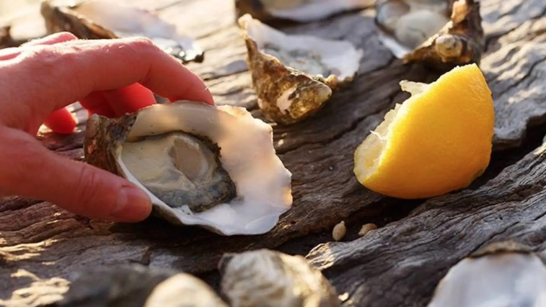Auz bruny island long weekend friends adventure 2 cuisine