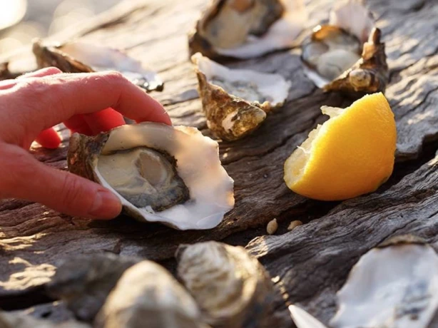 Auz bruny island long weekend friends adventure 2 cuisine