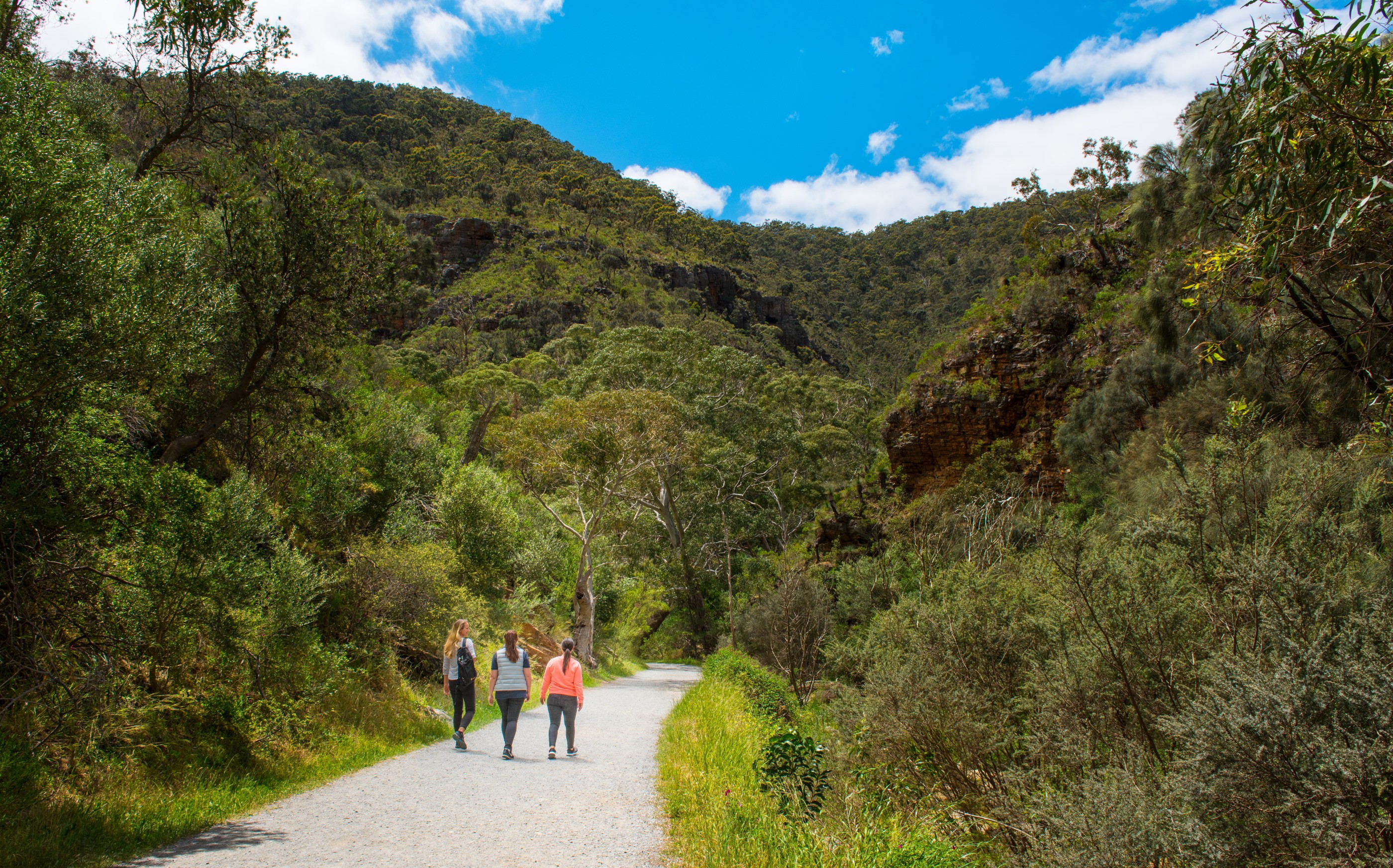 Australien Buschwanderung Weg
