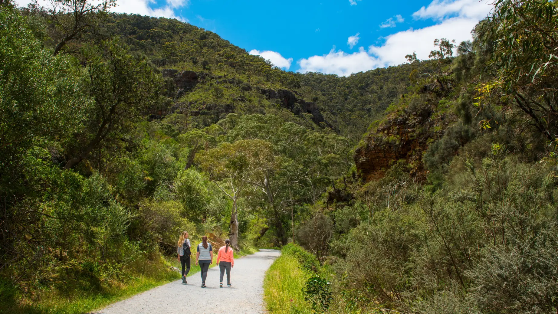 Australien Buschwanderung Weg
