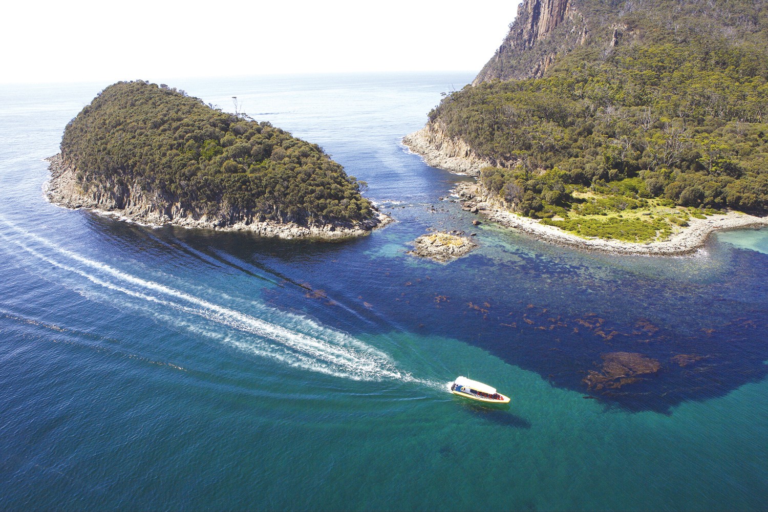 Australien Bruny Island Tasmanien