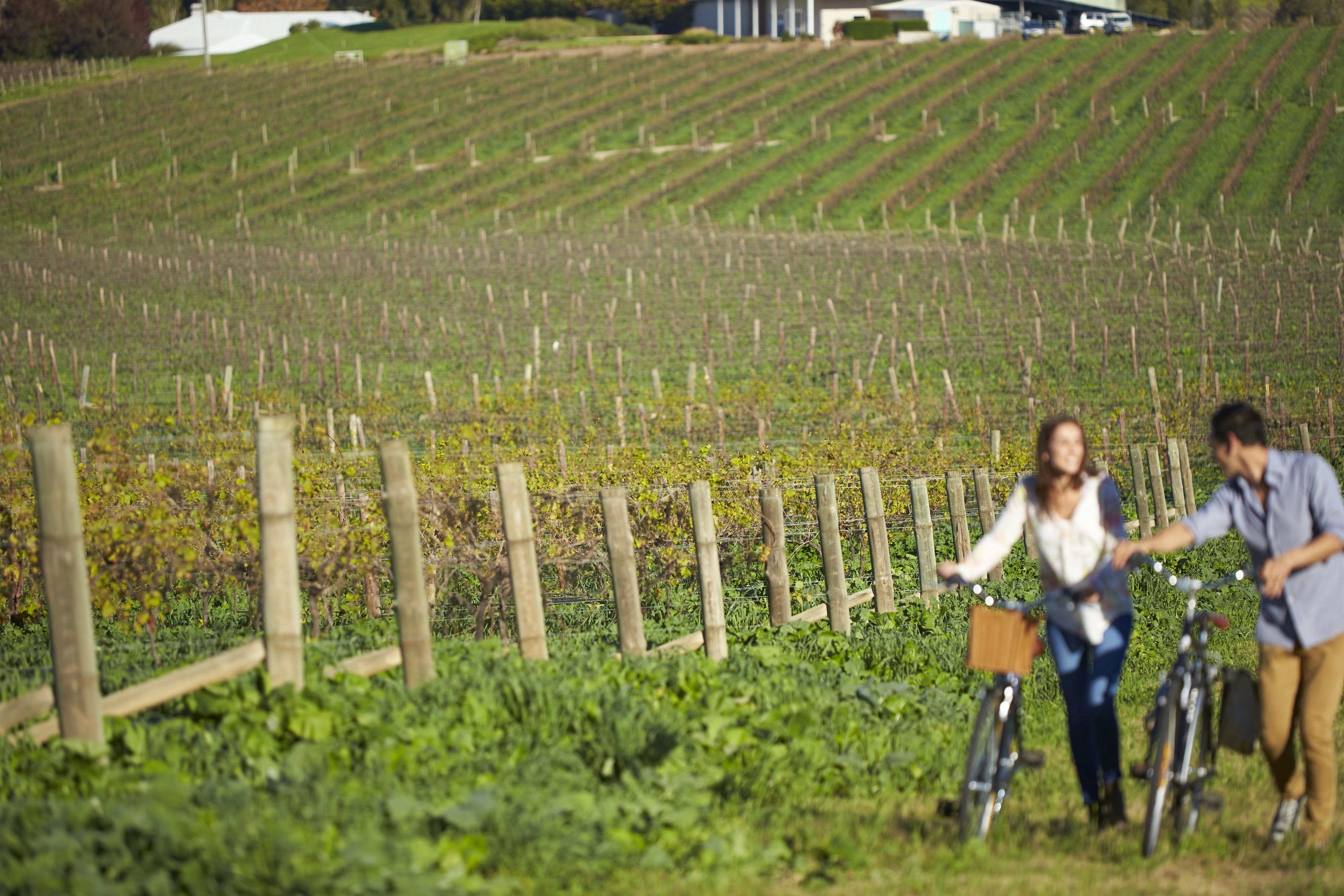 Au hunter valley vineyard estate people biking friends stays very comfortable