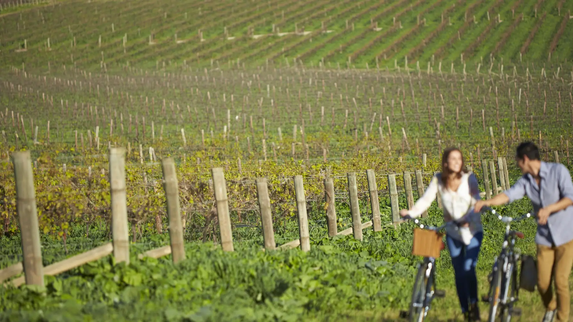 Au hunter valley vineyard estate people biking friends stays very comfortable