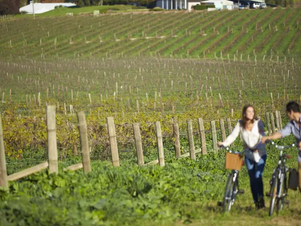 Au hunter valley vineyard estate people biking friends stays very comfortable