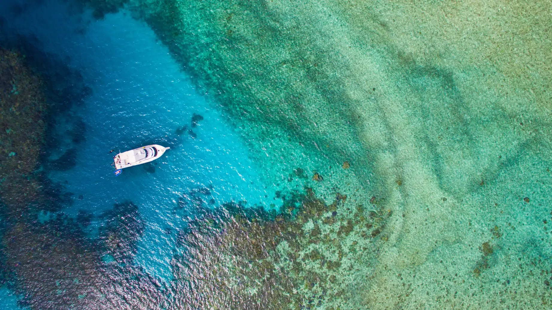 White boat near Mission Beach in blue and green water