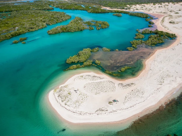 Luchtfoto van tropische kustlijn met kronkelende witte zandstranden en mangrove-eilanden