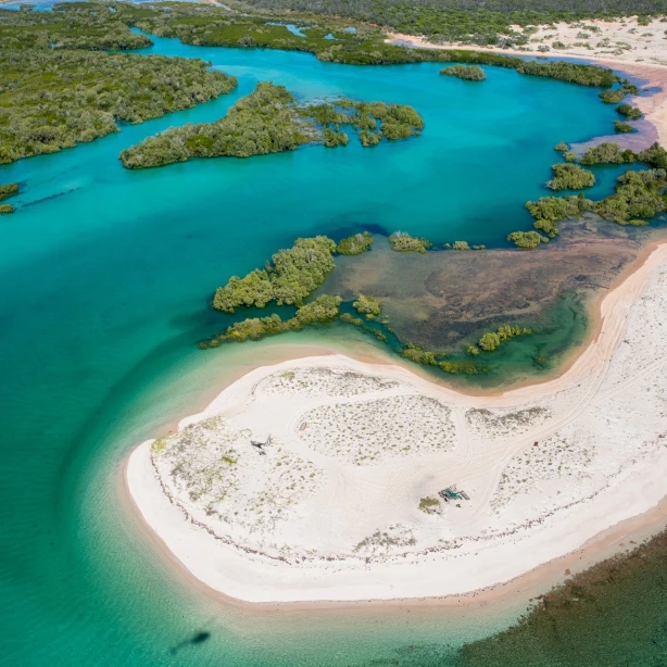 Luchtfoto van tropische kustlijn met kronkelende witte zandstranden en mangrove-eilanden