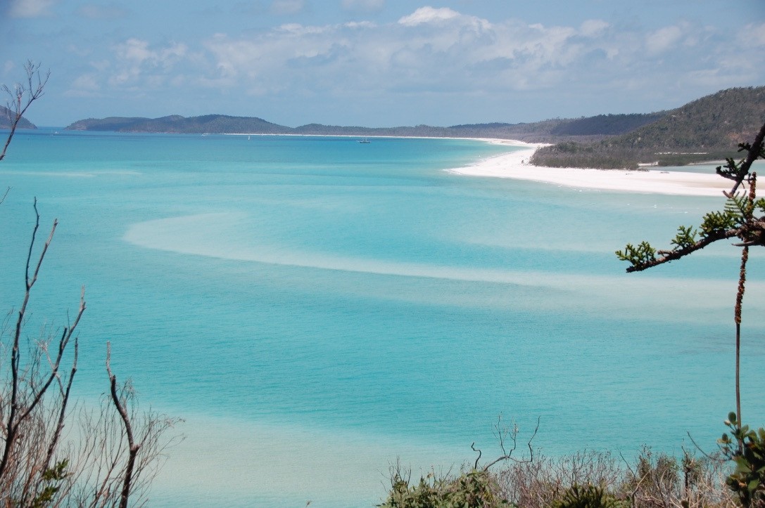 Hergenroeder Tropical North