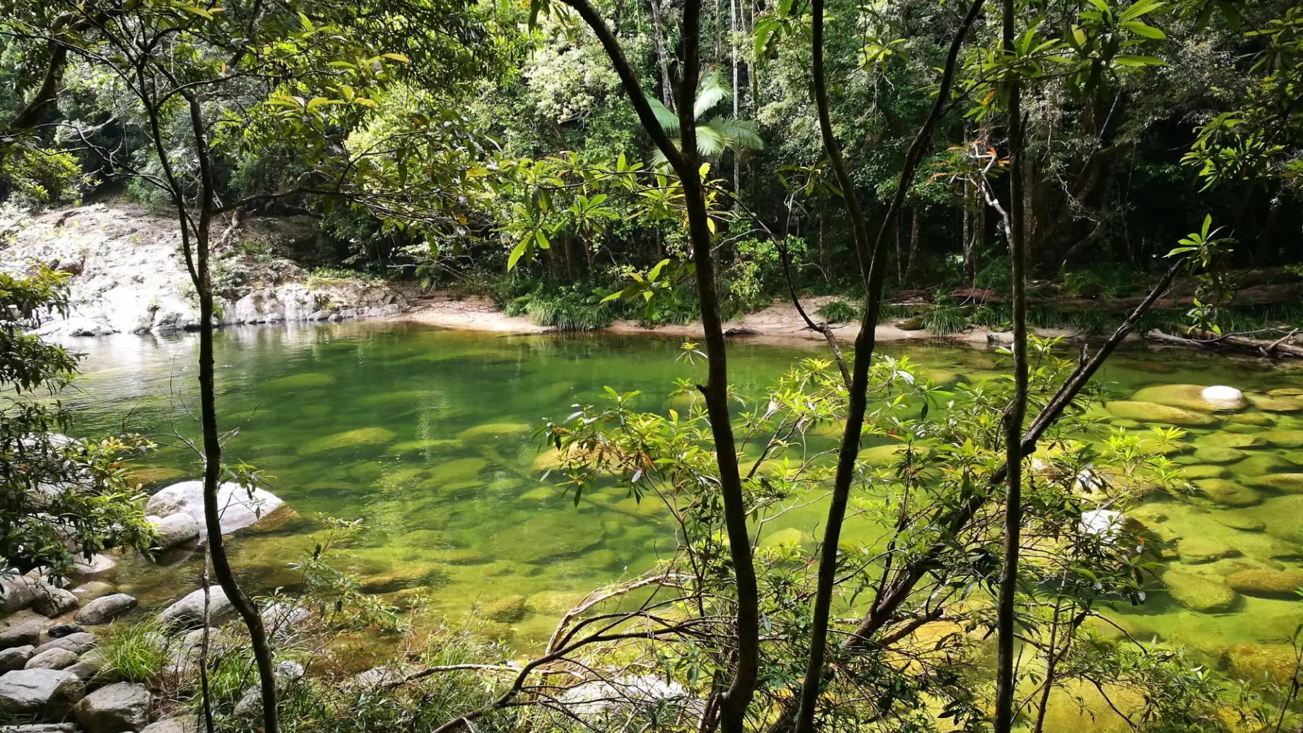 Idyllischer Naturpool in der Mossman Gorge mit klarem, smaragdgrünen Wasser und Felsen im Daintree Nationalpark, Australien