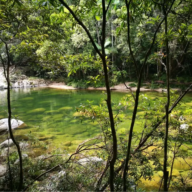 Idyllischer Naturpool in der Mossman Gorge mit klarem, smaragdgrünen Wasser und Felsen im Daintree Nationalpark, Australien