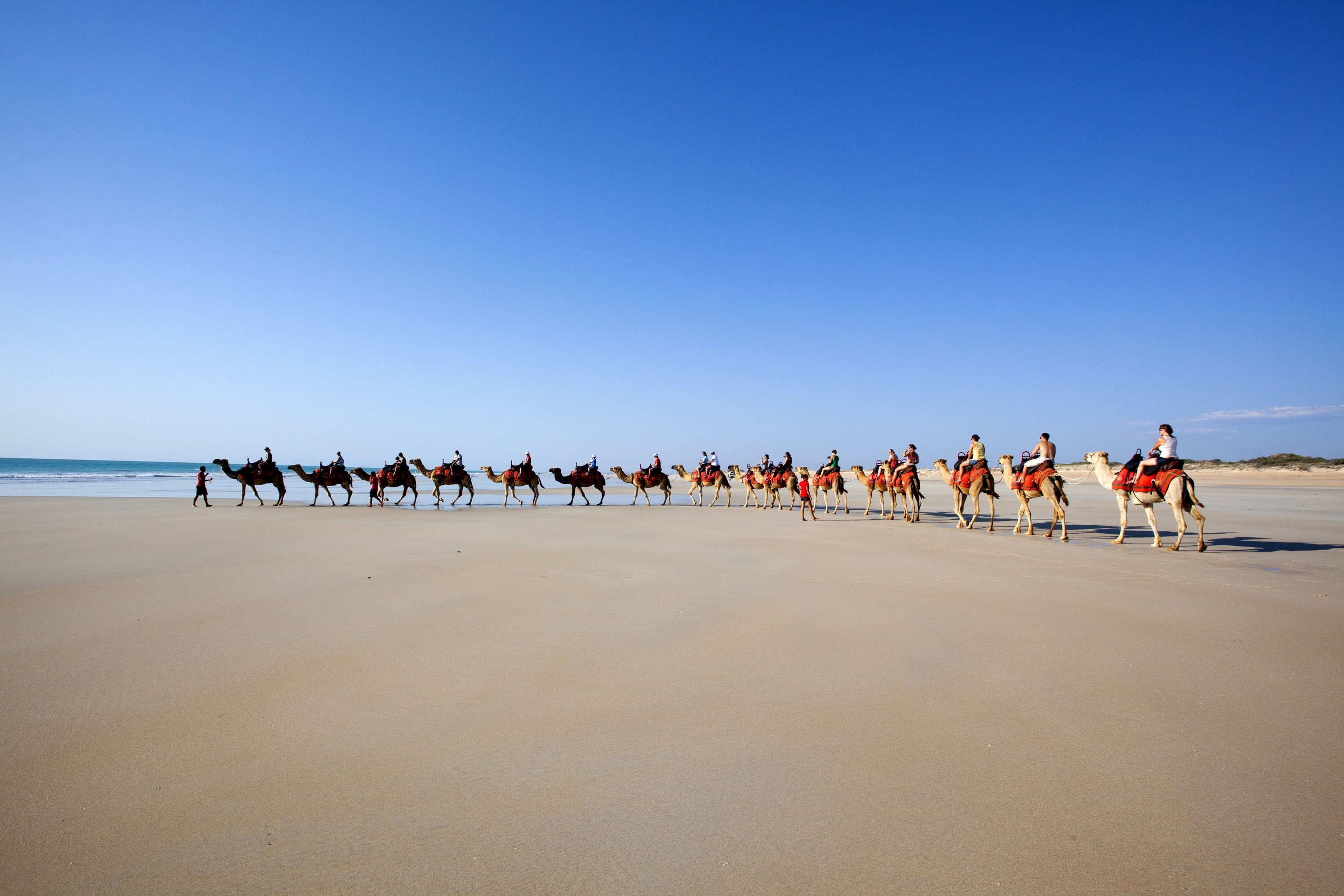 aus western australia camel ride beach broome