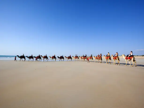 aus western australia camel ride beach broome