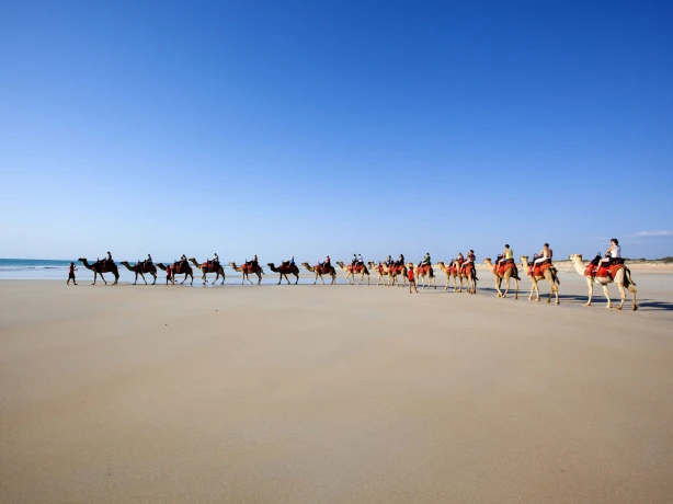 aus western australia camel ride beach broome