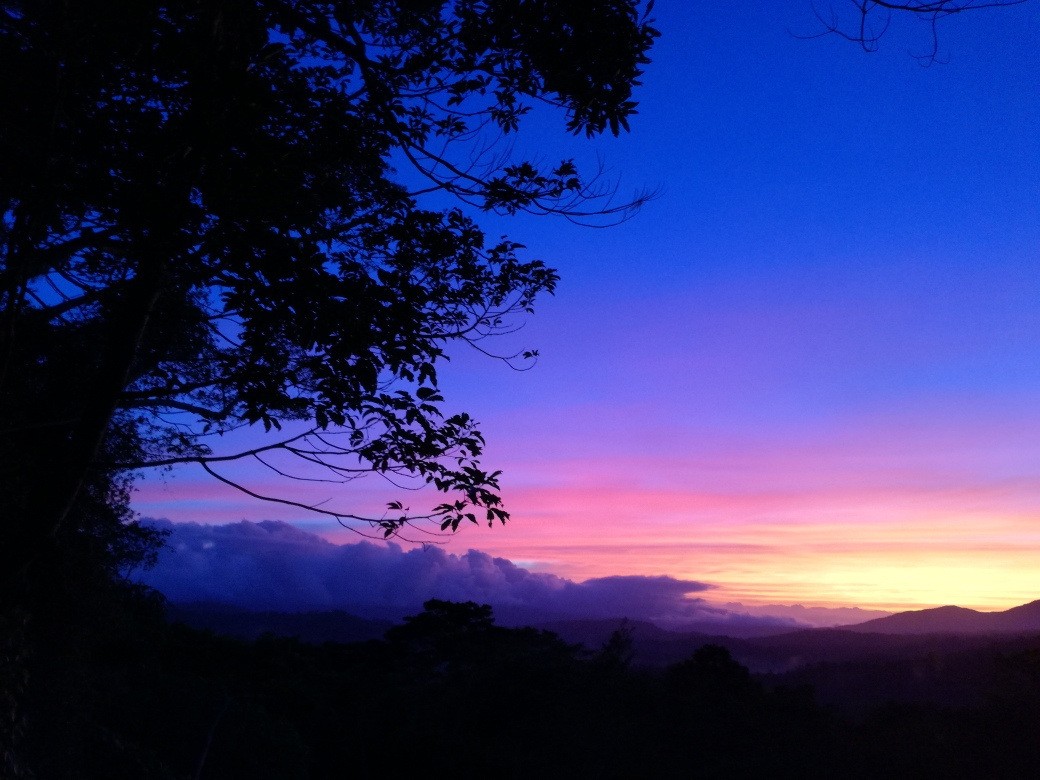 Australien kundenfeedback nowak sonnenuntergang