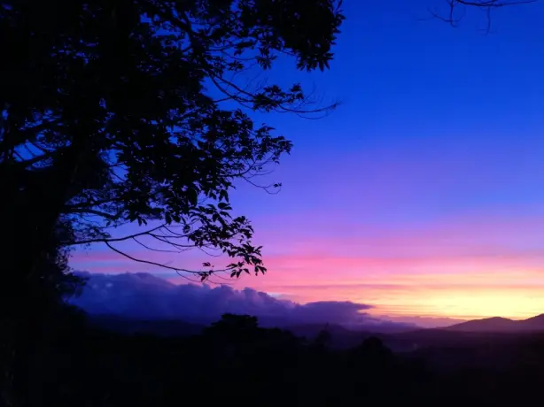 Australien kundenfeedback nowak sonnenuntergang