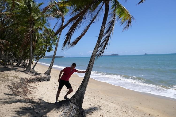 Australien kundenfeedback nowak strand palmen