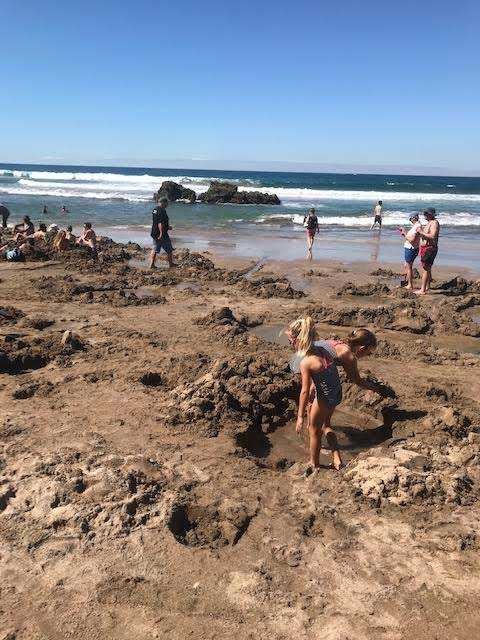 Neuseeland reiseerfahrung familie haag hot water beach
