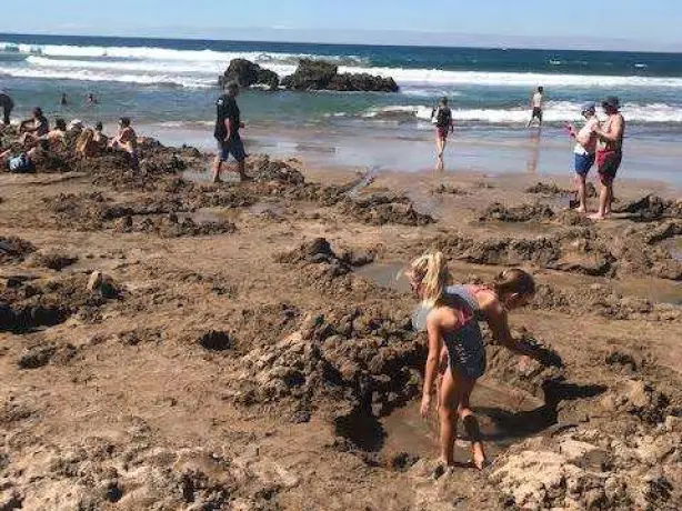 Neuseeland reiseerfahrung familie haag hot water beach