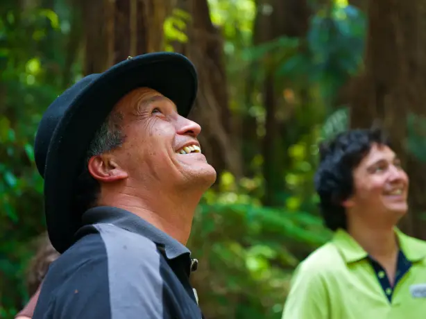 Tree planting project with local Maori Tribe