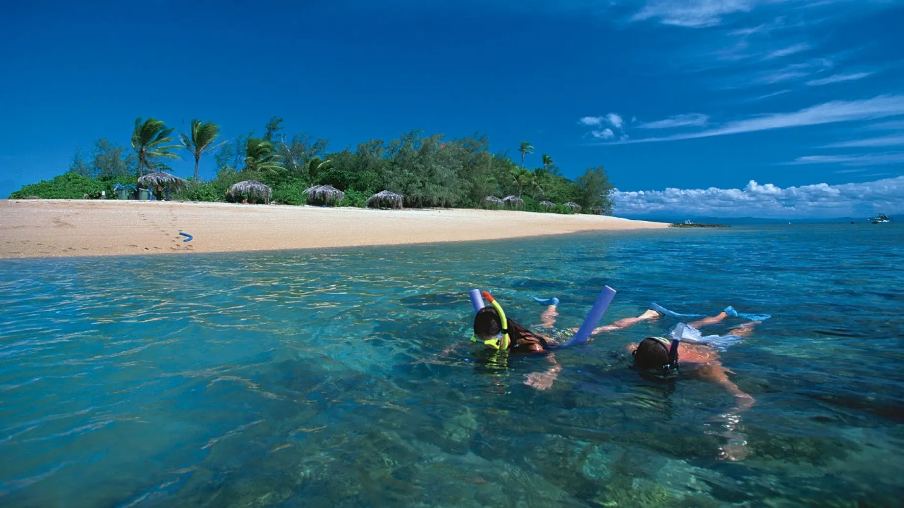 AUS - couples - Great barrier reef