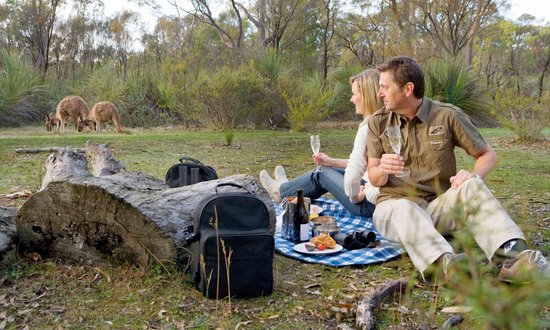 aus couples kangaroos picnic