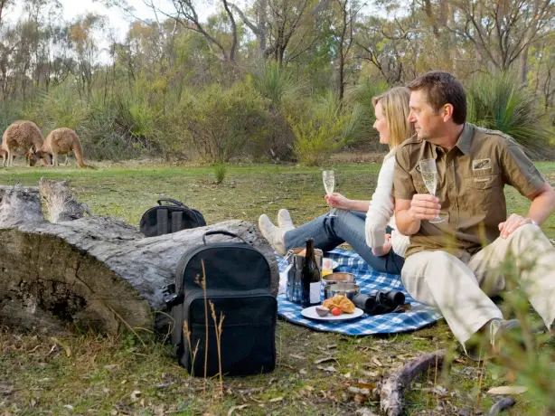 aus couples kangaroos picnic