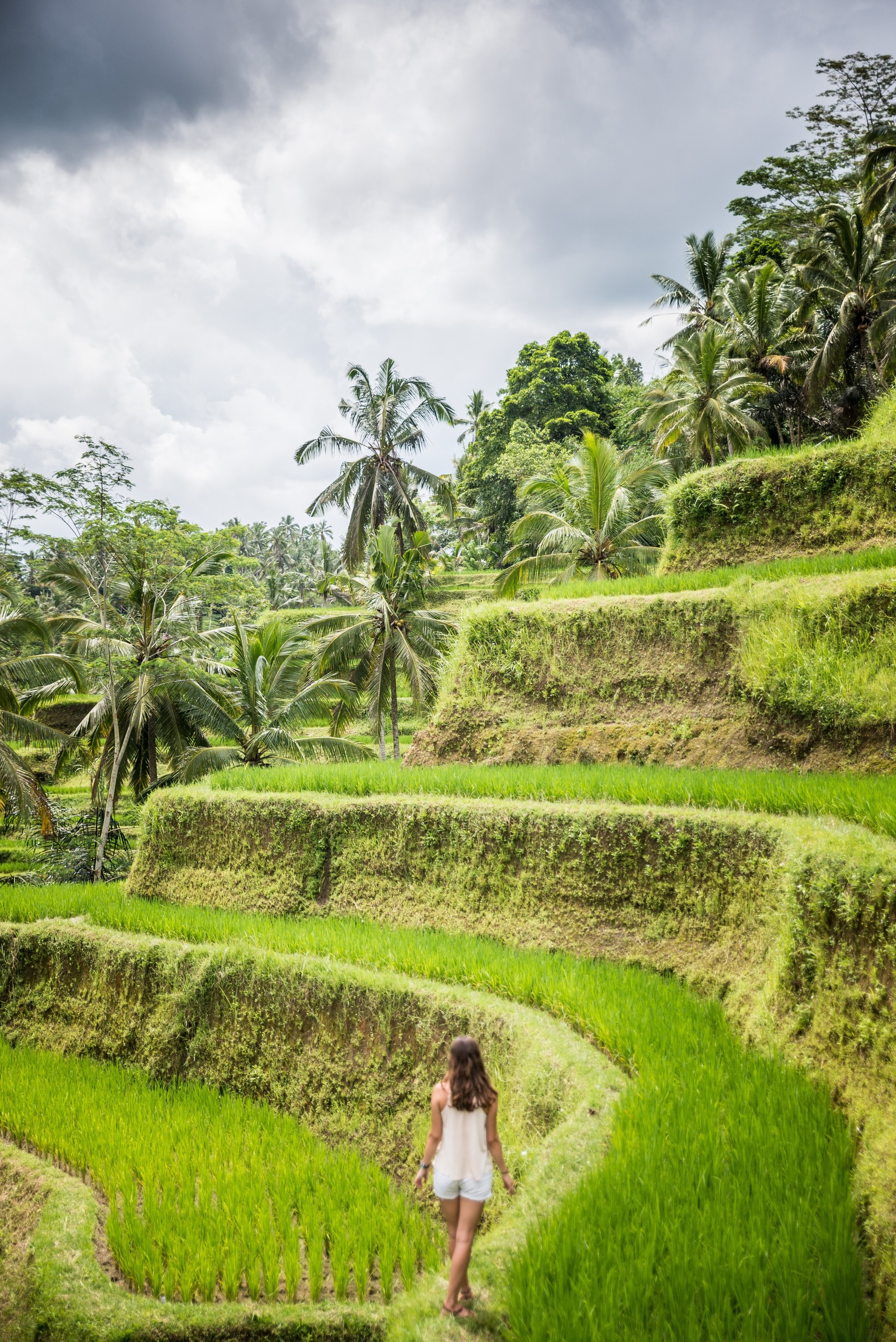 Ein Mädchen im Reisfeld von Bali, Radoslaw Molski