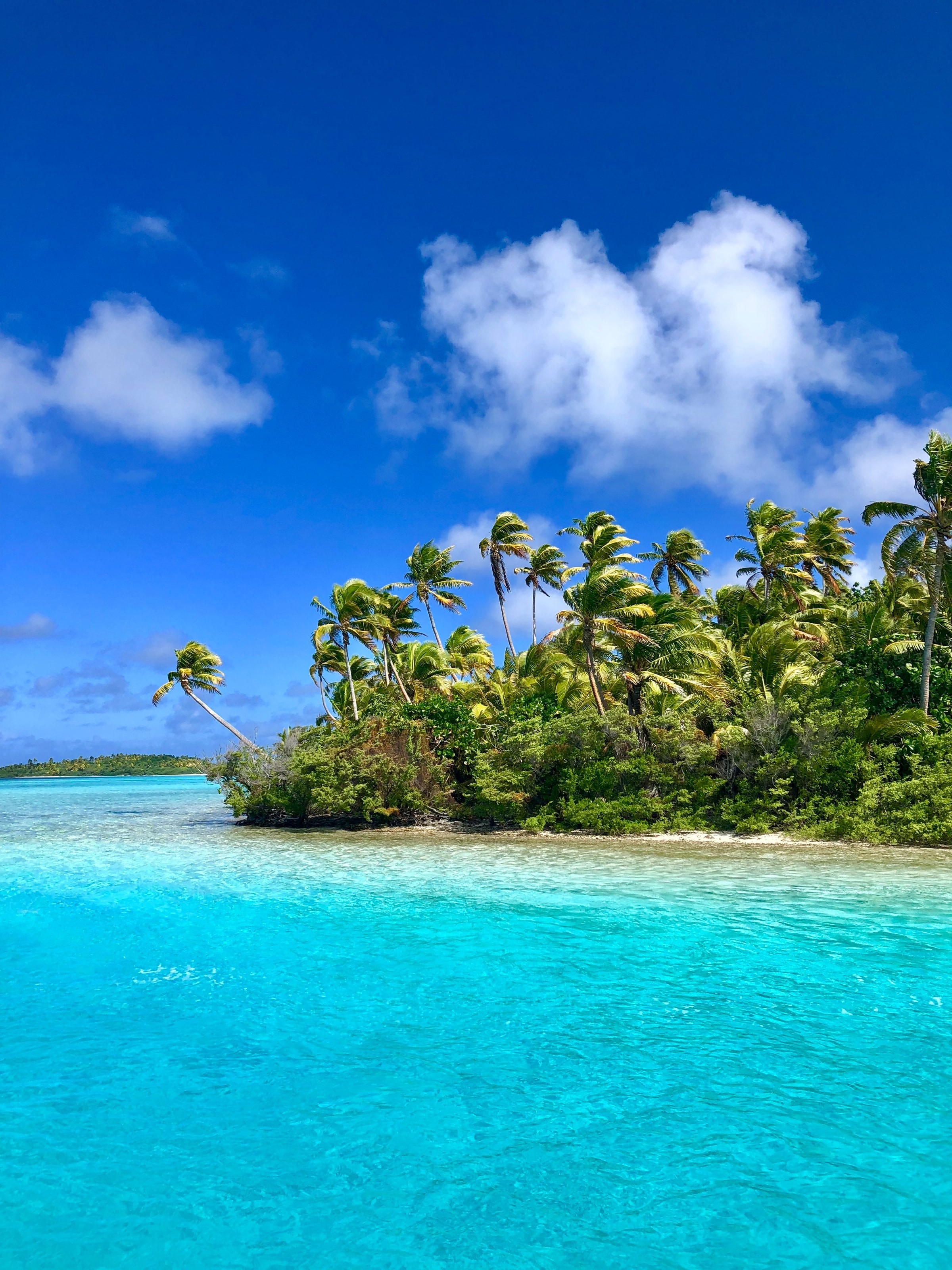 cook islands beach