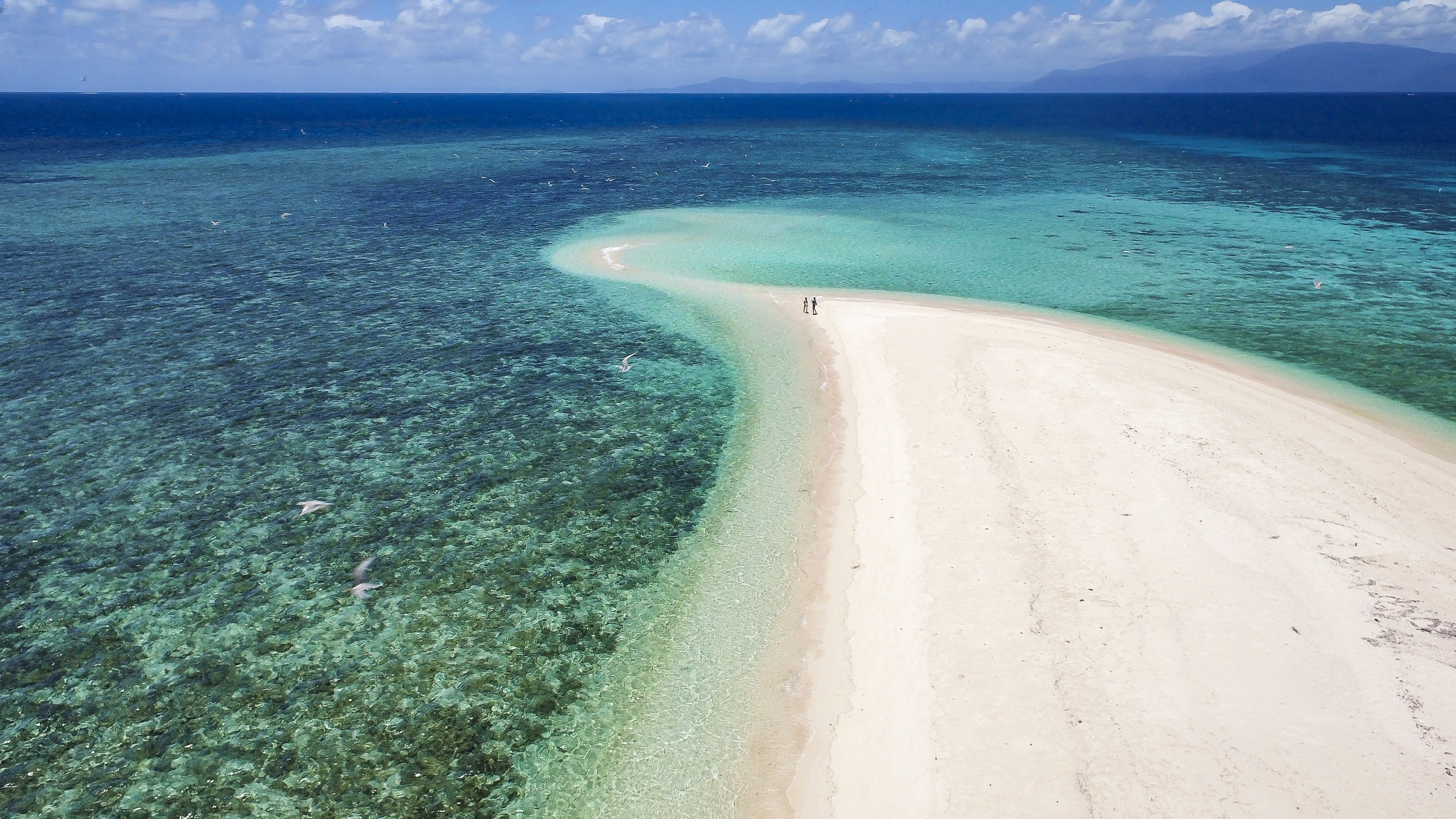 Australien queensland great barrier reef schnorcheln strand spaziergang weißer sandstrand