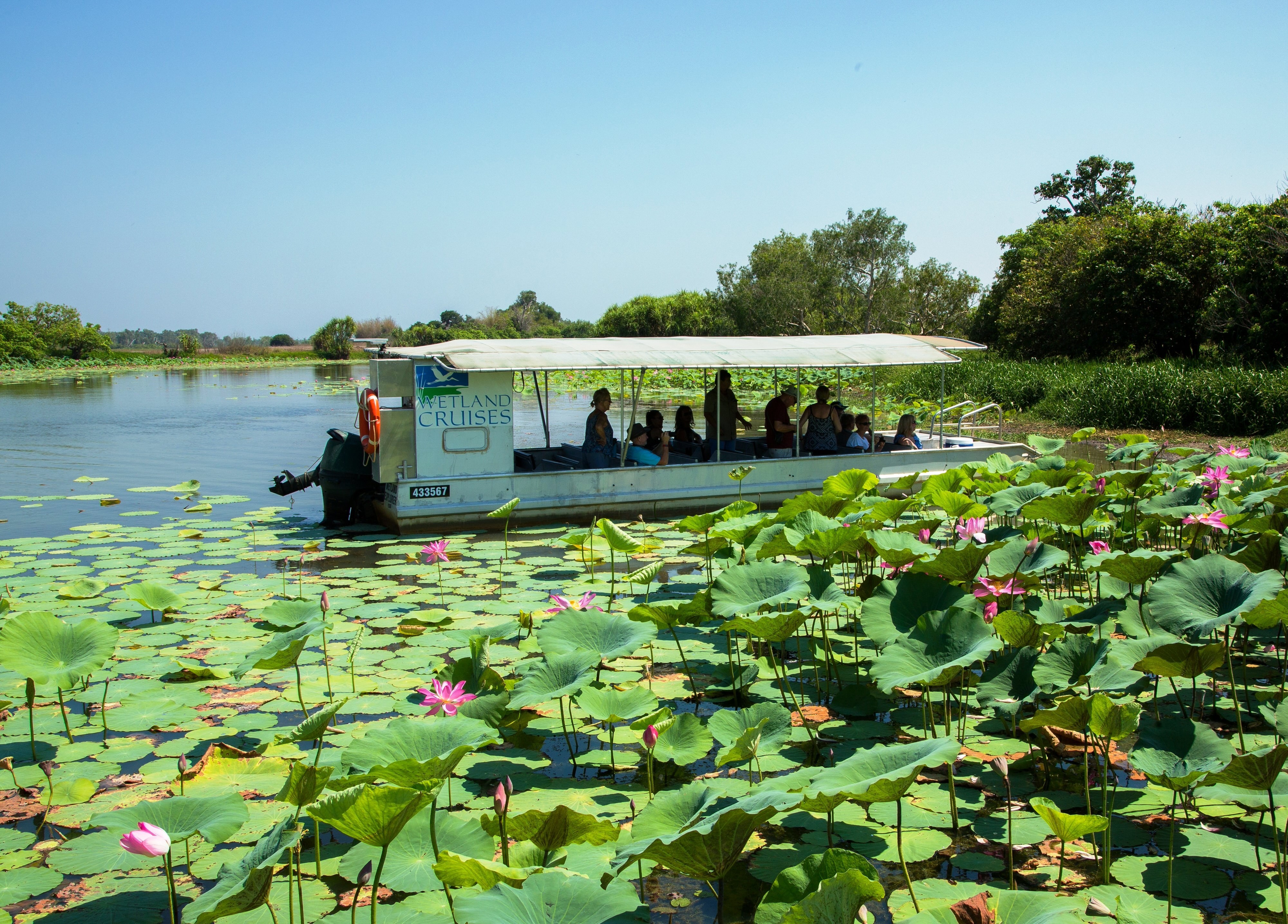 Auz corroboree billabong wetland cruises 3 partner easy going