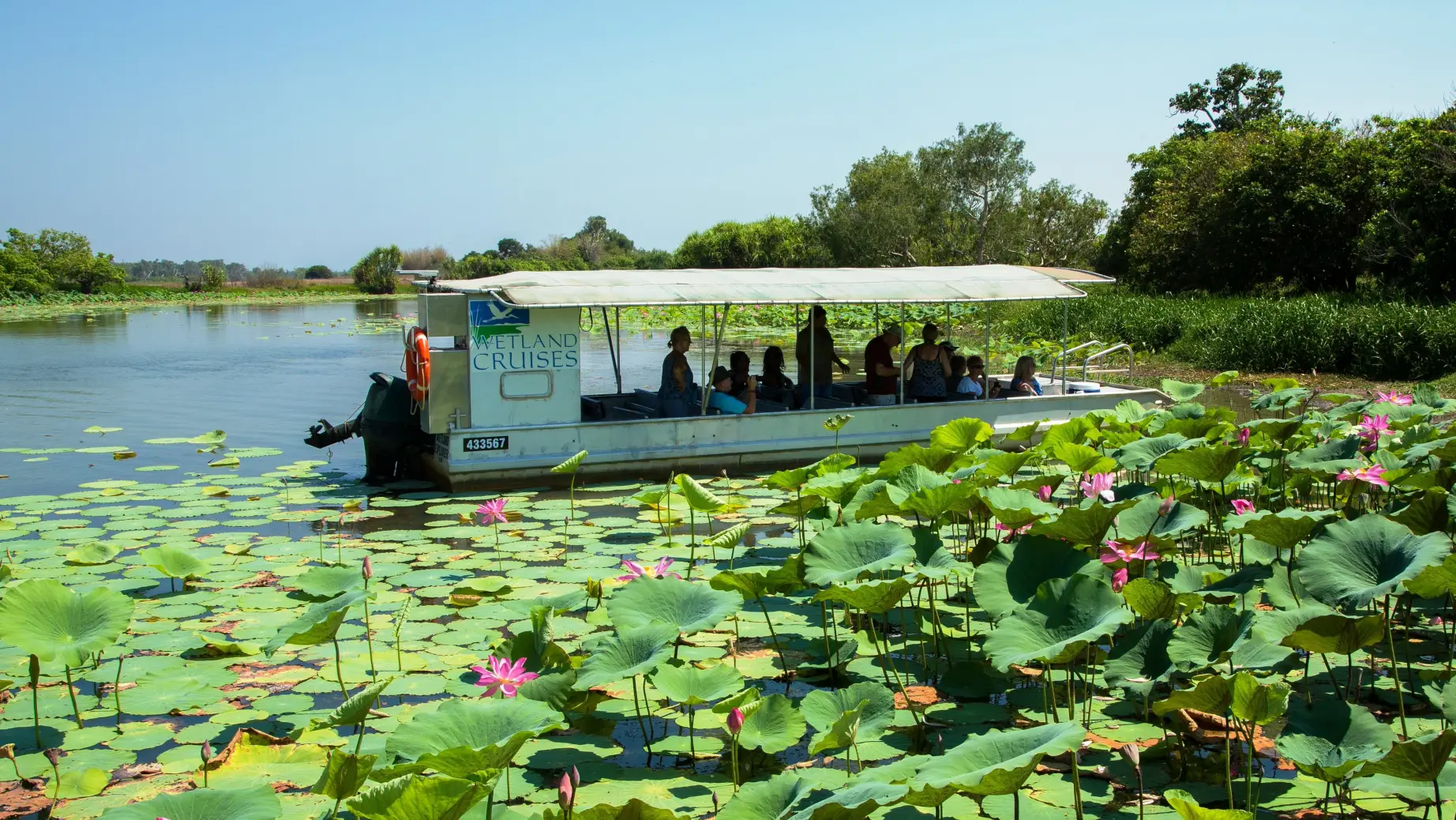 Auz corroboree billabong wetland cruises 3 partner easy going