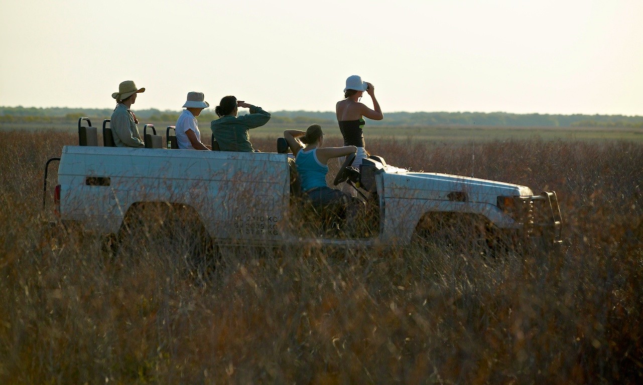 Aus kakadu wilderness bungalow safari partner stays luxury