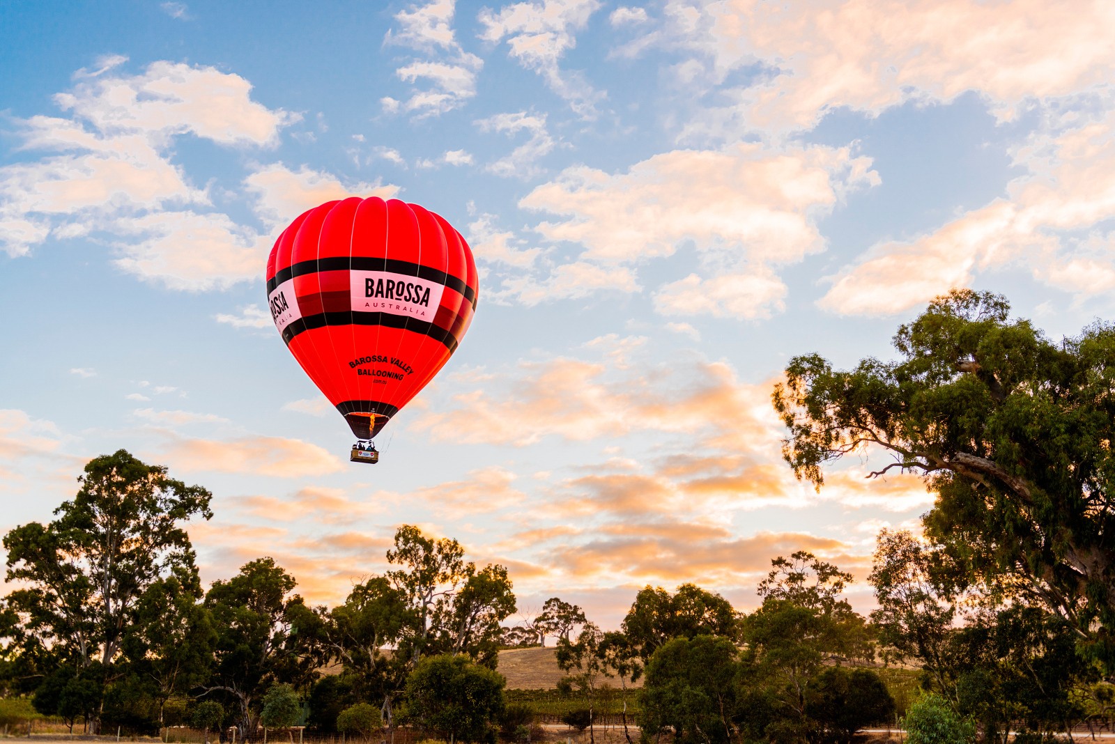 Au barossa valley balloon vineyard view solo see and do easy going