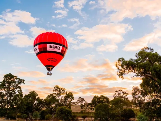 Au barossa valley balloon vineyard view solo see and do easy going