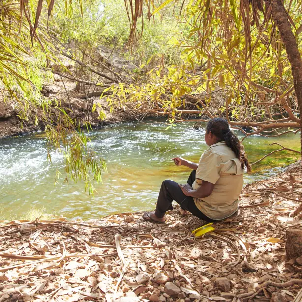 Au darwin litchfield national park culture local guide solo see and do easy going