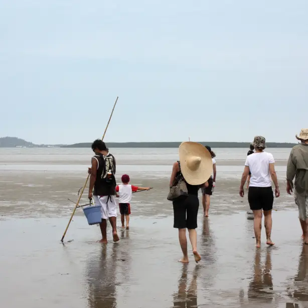 Au mossman indigenous culture spear throwing solo see and do easy going