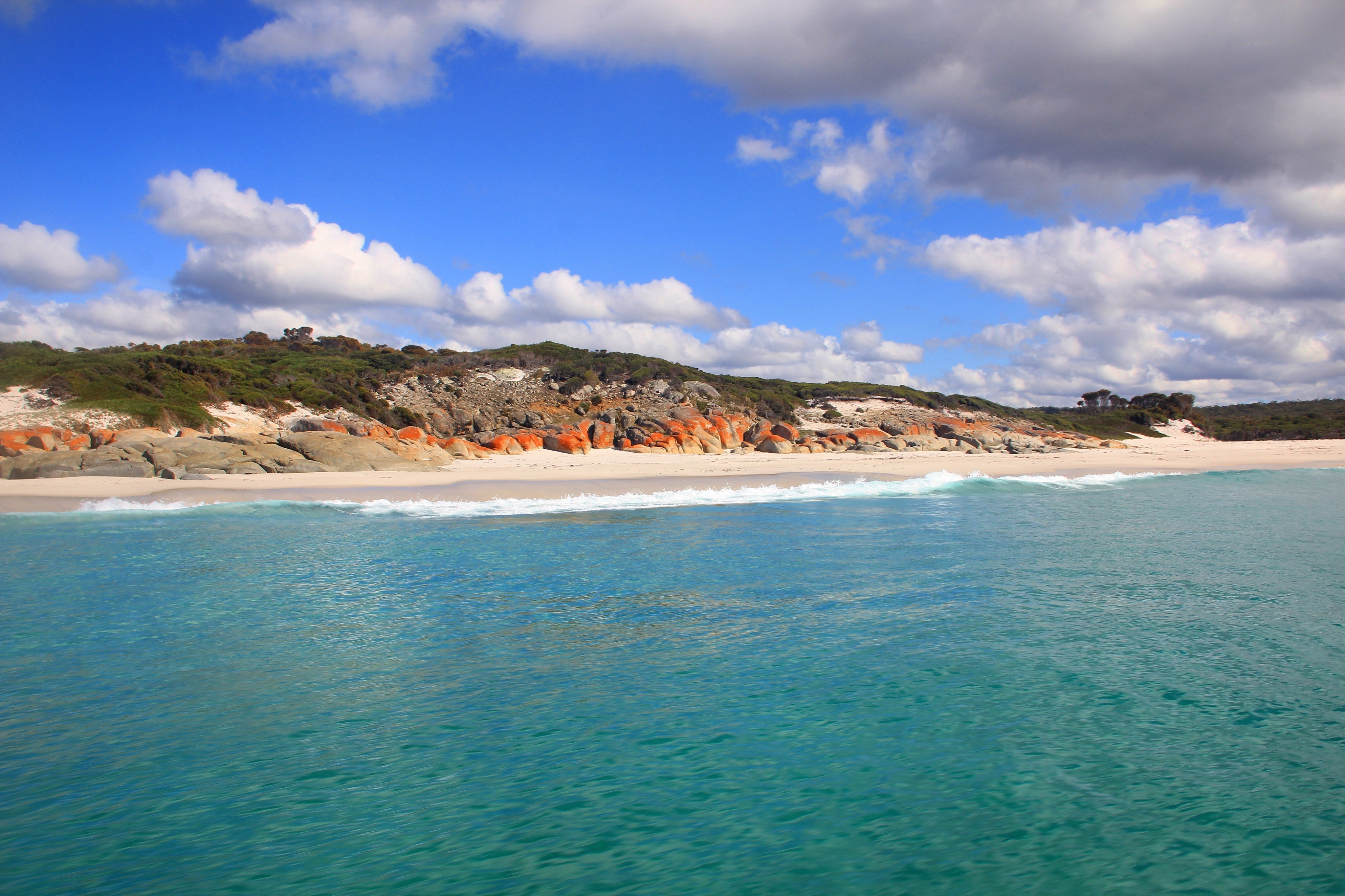 Auz bay of fires eco tours solo easy going 3