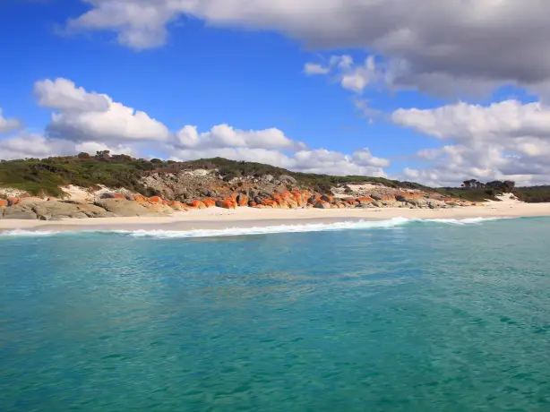 Auz bay of fires eco tours solo easy going 3