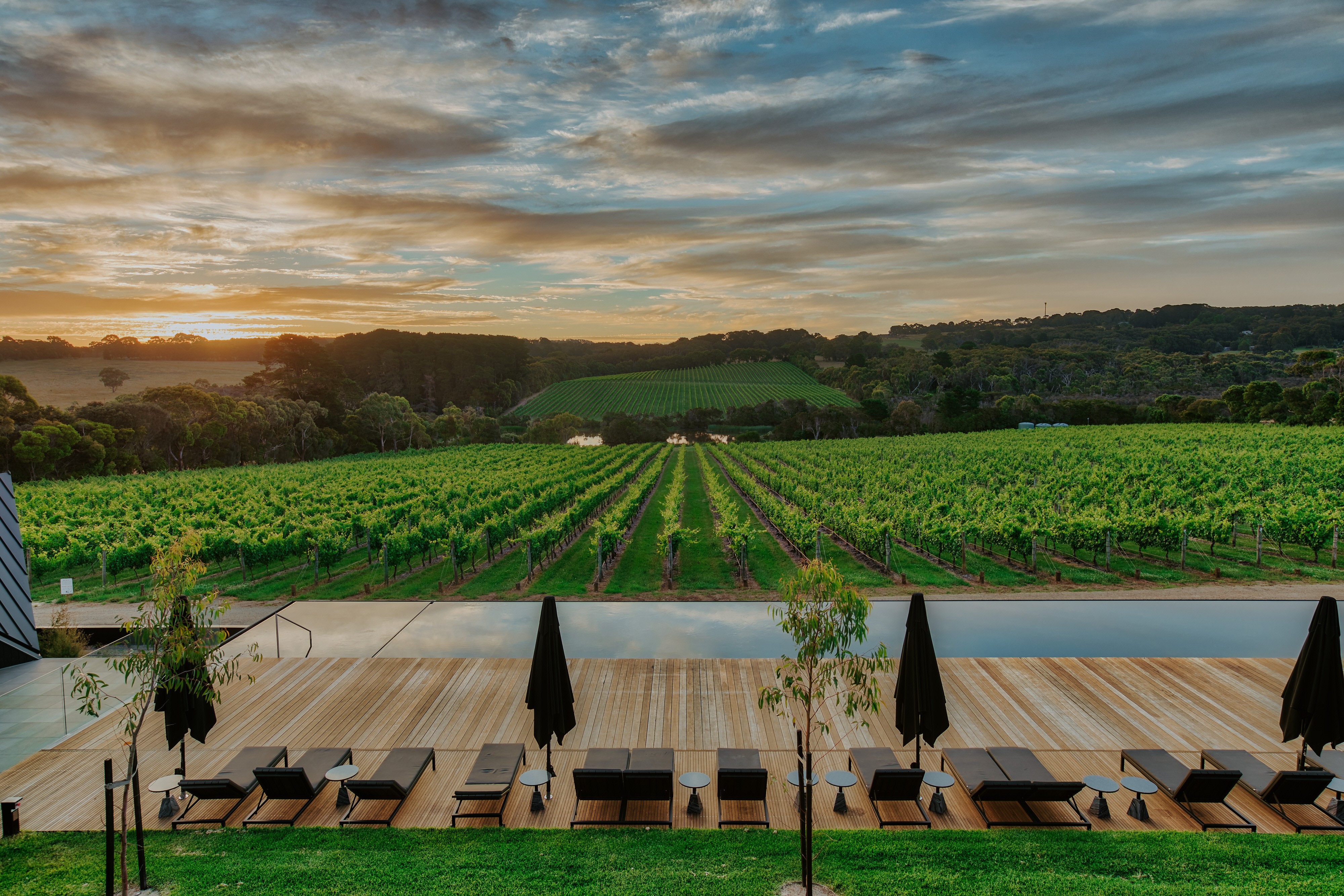 Au mornington peninsula vineyard hotel view solo stays luxury