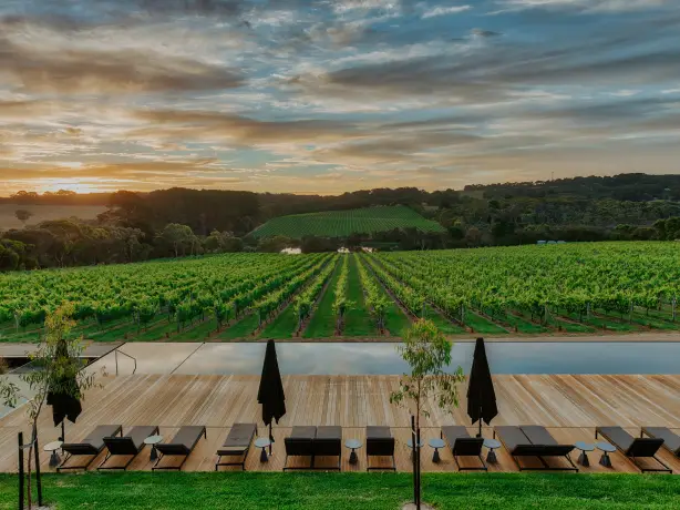 Au mornington peninsula vineyard hotel view solo stays luxury