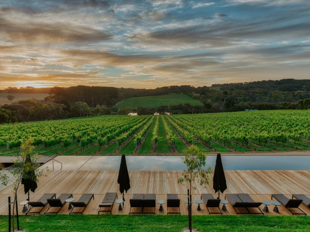 Au mornington peninsula vineyard hotel view solo stays luxury