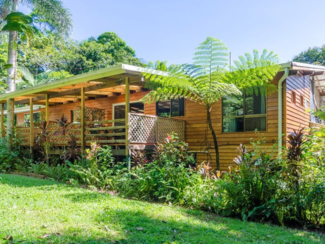 aus-qld-cow-bay-accommodation-epiphyte-bed-breakfast.jpg