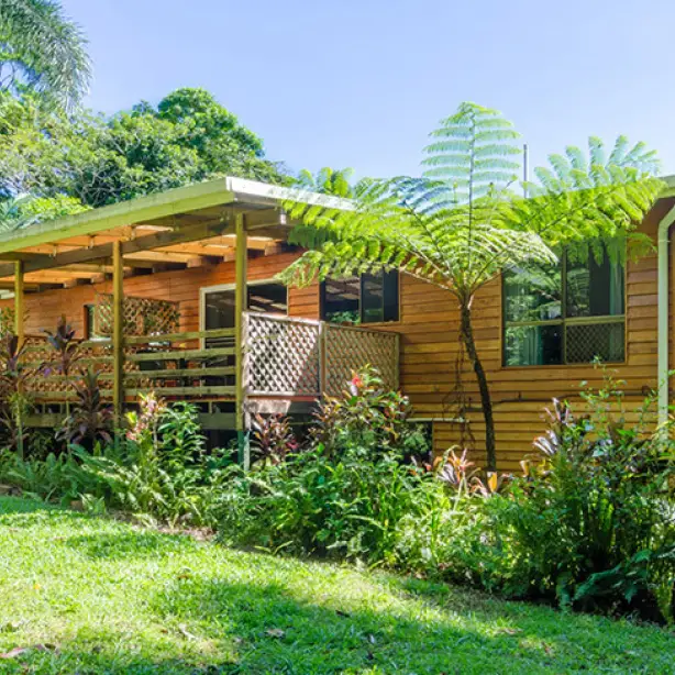 aus-qld-cow-bay-accommodation-epiphyte-bed-breakfast.jpg